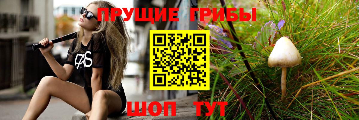 Псилоцибиновые грибы Psilocybe  Вход с VPN  Долгопрудный 