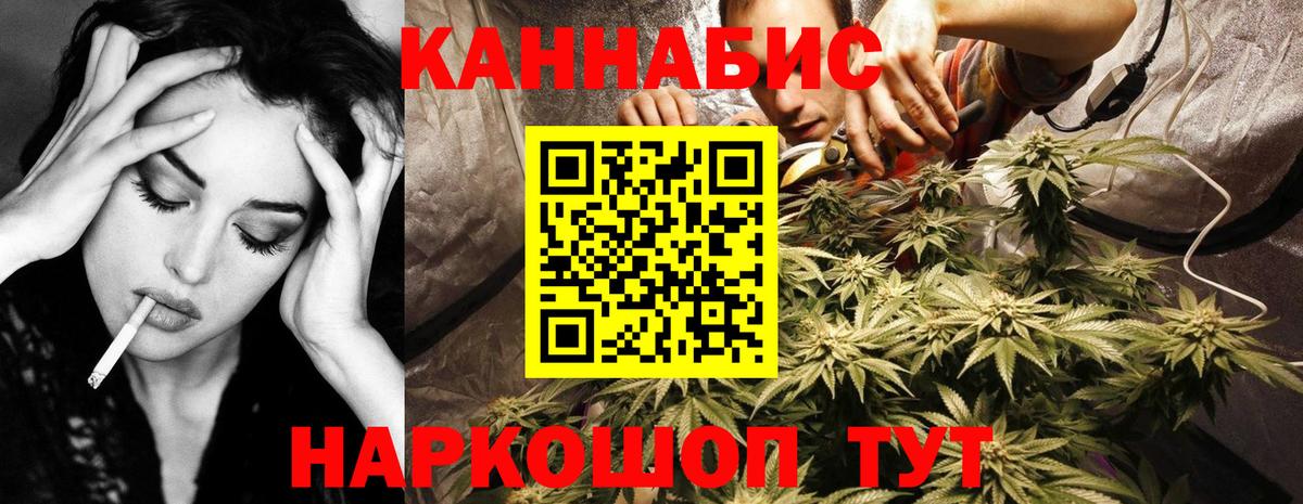 Долгопрудный  Каннабис ГИДРОПОН  Вход с VPN  Бошки Шишки сатива  Канабис план 